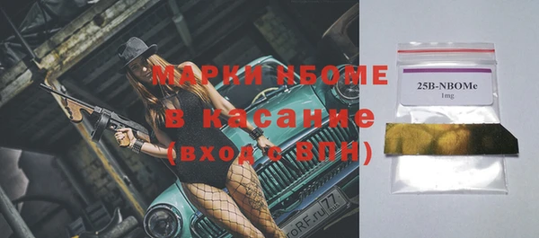крисы Новодвинск