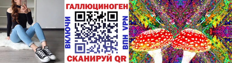 купить закладку Сортавала Псилоцибиновые грибы Psilocybe